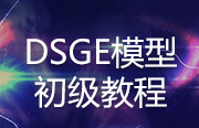 DSGE模型初级教程