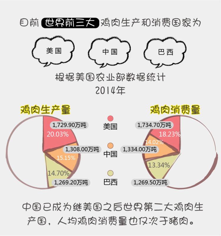 振兴东北经济,中城银信从“溜达鸡”开始