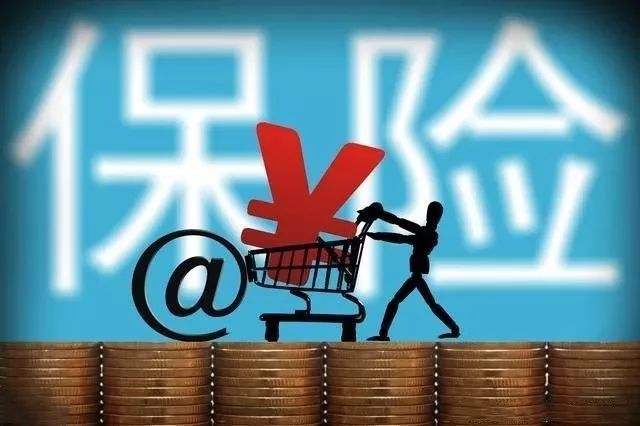 促进保险业决策和监督