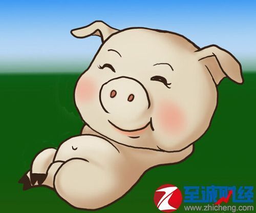 8月4日全国生猪价格最新行情、今日猪价一览表