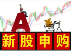 新股